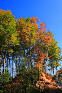 亚特兰大后卫因停赛将无缘参加下场比赛