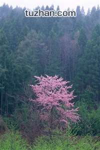 足球强队争霸，欧洲足球赛事令人期待不已