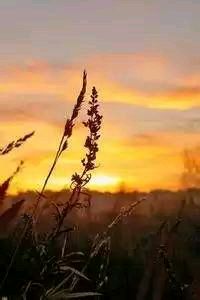 狼队神奇逆转，豪取欧战资格