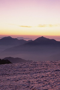 热刺前锋火线复出，强势反弹争夺欧冠资格
