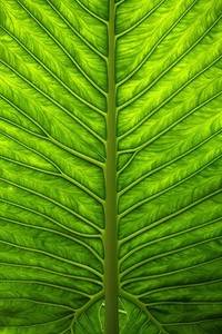 日本球队士气高涨面对强敌